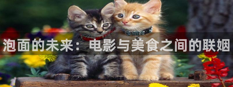 桃花桃花：泡面的未来：电影与美食之间的联姻