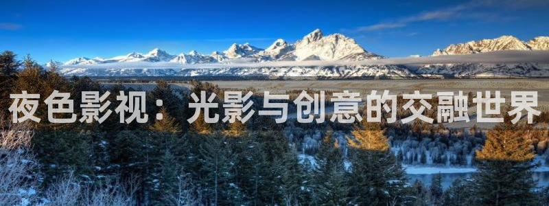 桃花影视免费版高清在线观看：夜色影视：光影与创意的交融世界