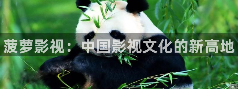 桃花影院国产木瓜影院免费