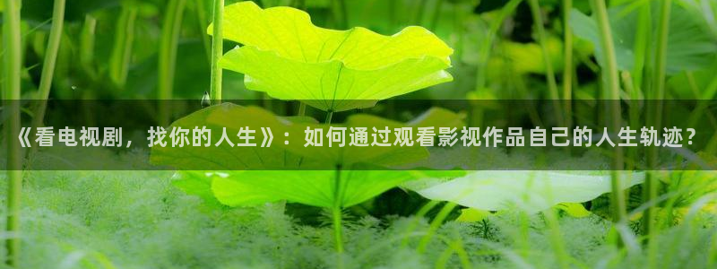 桃花影院免费观看电视剧高清