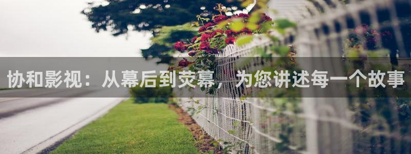 棋士电视剧免费观看完整版桃花影院