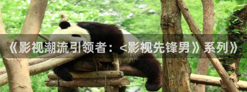 桃花影片