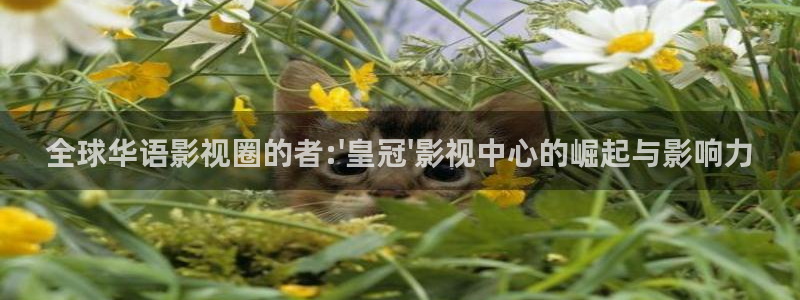 桃花视频下载