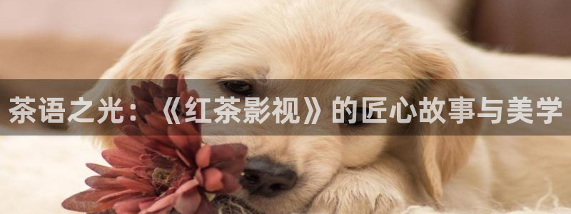 桃花桃花